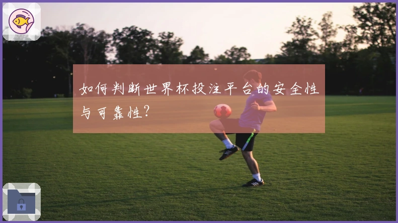 如何判断世界杯投注平台的安全性与可靠性?